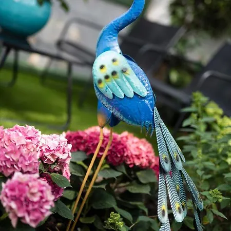 Pillangós-ház Bed and breakfast 3*