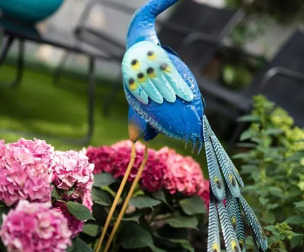 Pillangos-haz לינה וארוחת בוקר 3*